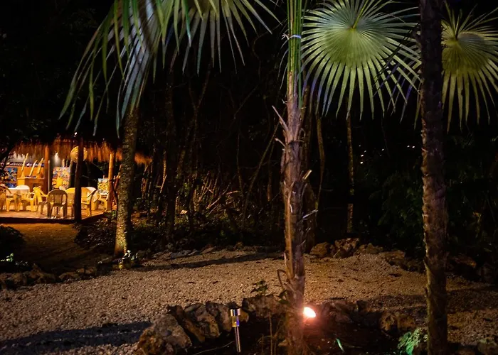 Jungle House With A Pool * Akumal
