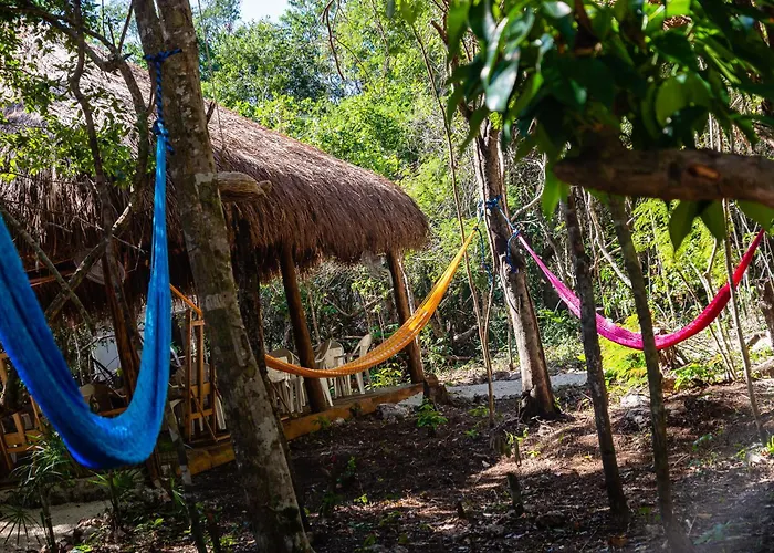 Jungle House With A Pool Casa de férias